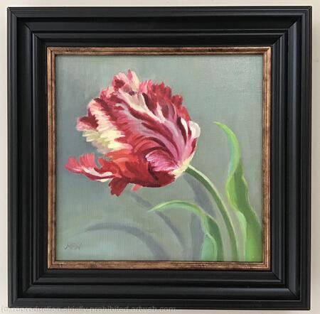 Red and yellow parrot tulip