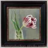 Red and white tulip