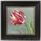 Red and yellow parrot tulip