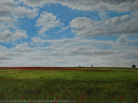 Poppies in Sandridge