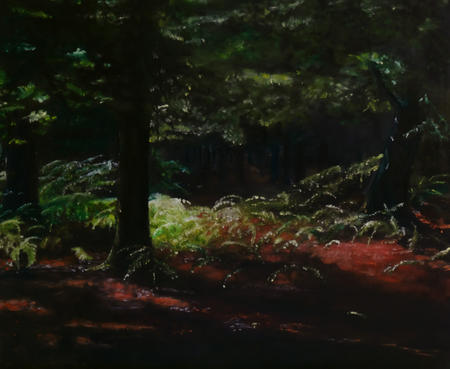 Dreaming in the New Forest