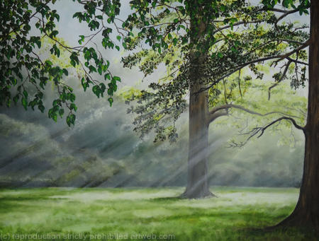 Misty morning at Childwickbury