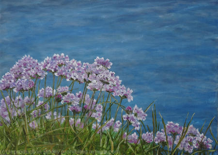 Guernsey sea flowers