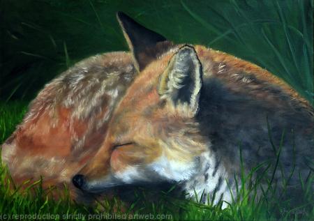 Sleeping in the daytime