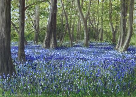 Spring in Heartwood forest