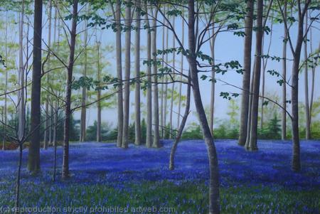 Bluebells in the Chilterns