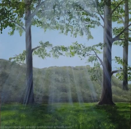 Childwickbury morning