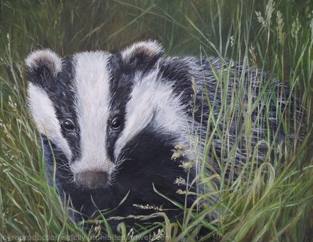 Badger