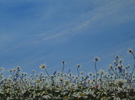 Hertfordshire flowers