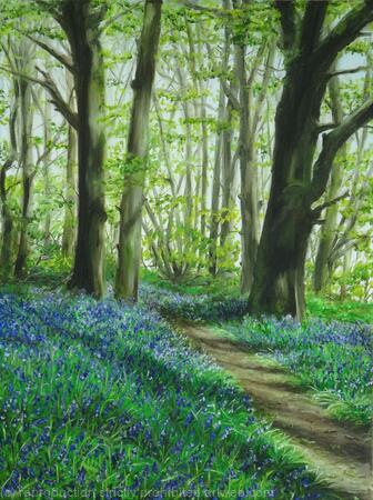 Bluebell woods in Batchwood
