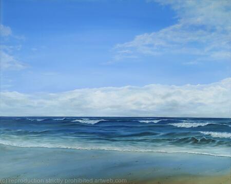 Holkham Bay shoreline