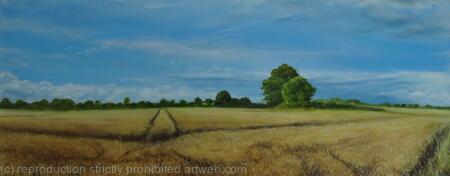 Highfields in August