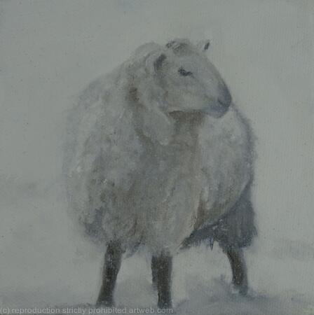 Ewe in snow