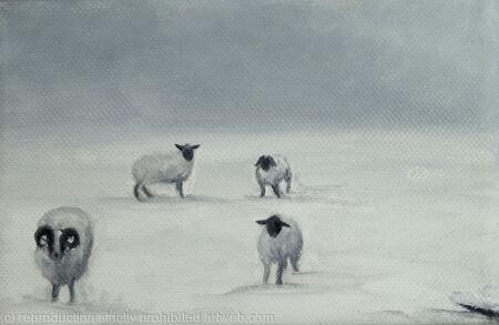 Sheep in snow 2
