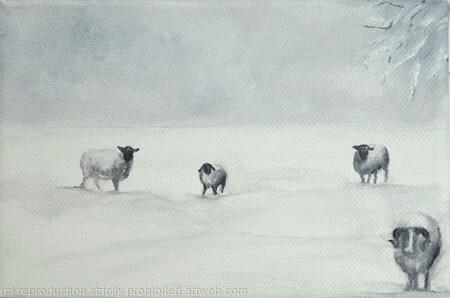 Sheep in snow-3