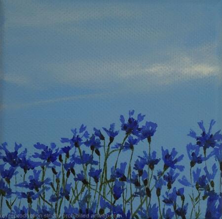 Cornflowers