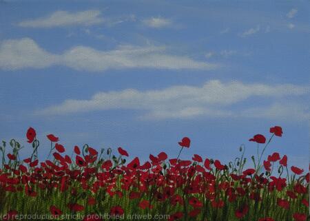 Poppies