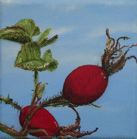 Rose hip