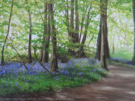 Bluebells in Highfields, St Albans