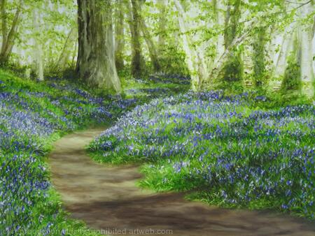 Bluebells in Heartwood Forest