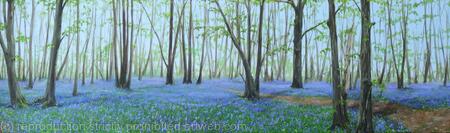 Heartwood Forest in May