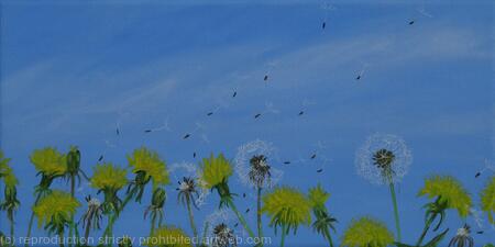 Dandelions in the wind
