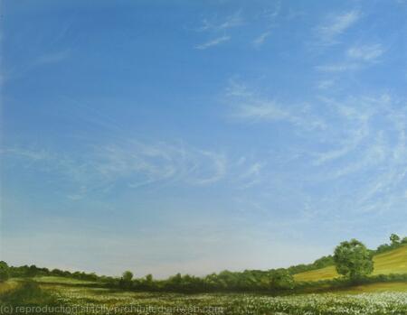 Big Skies over Heartwood Forest