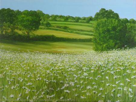 Wild Flowers by Heartwood Forest