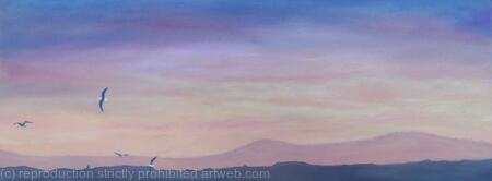 Sunset at Farne Islands