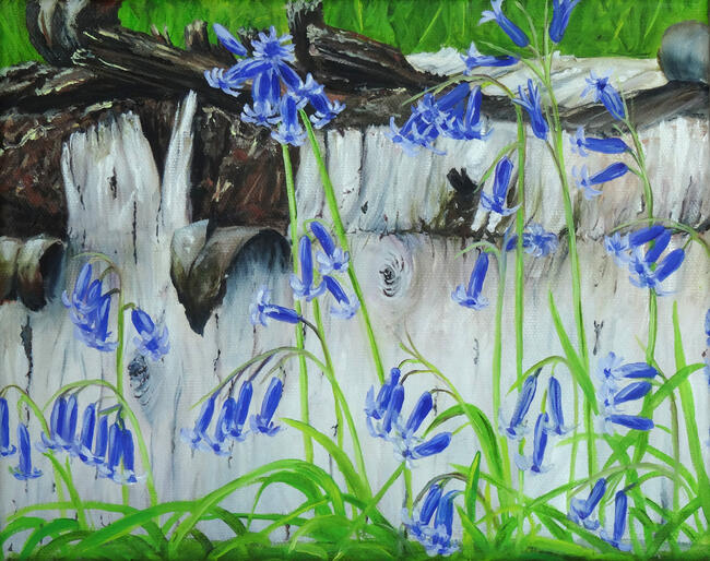 Bluebell joy