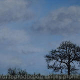 On a hill in Hertfordshire