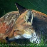 Sleeping in the daytime