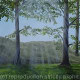 Childwickbury morning