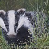 Badger