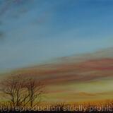 Hertfordshire sunset