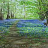 Bluebell woods in Heartwood forest