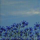 Cornflowers