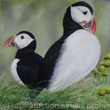 Puffins