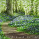 Bluebells in Heartwood Forest
