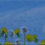 Dandelions in the wind