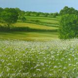 Wild Flowers by Heartwood Forest