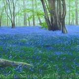 Heartwood Forest in April