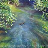 River Lea with ducks