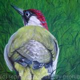 Green Woodpecker