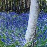 Beach tree in Spring