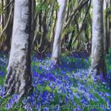 In the bluebell woods