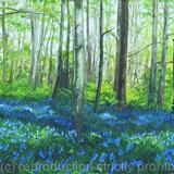 April Woods in Hertfordshire