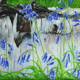 Bluebell joy