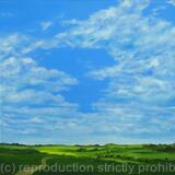 A view from Heartwood Forest