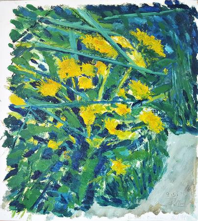 Dandelions and Bamboo